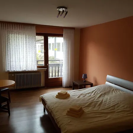 Haus Am Steinschab Bed & Breakfast Hallenberg